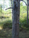 DSC00880.JPG