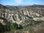DSCN7037.JPG