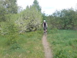 DSC02415.JPG