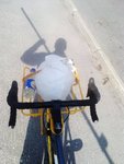 20110520387.jpg
