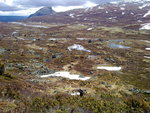20110529715.jpg