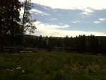 IMG_0086.JPG