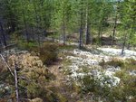 IMG_0114.JPG
