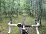 DSC02504.JPG