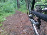 DSC02505.JPG
