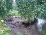 DSC02509.JPG