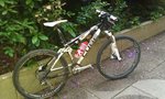 IMAG0264.jpg