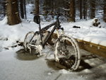 DSC00139.jpg