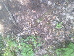 02072011657.jpg