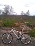 IMG_20110711_163112-1.jpg