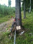 skoterspåret torvalla.jpg