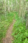small002.jpg