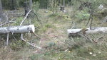 20110918558.jpg
