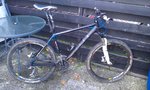 IMAG0223.jpg
