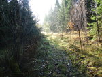 DSC00071.JPG