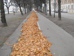 DSCN3862.JPG