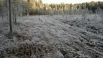 20111113640.jpg