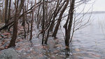 Hogvatten30122011.jpg