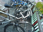DSC00041.JPG