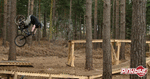 pbpic884981 copy.gif