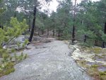 DSC00179.jpg