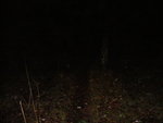 P1050073.JPG