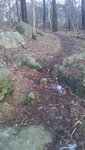 IMAG0065.jpg