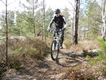 DSCN0441.JPG