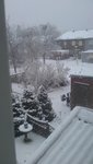IMAG0304.jpg