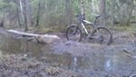 IMAG0211.jpg