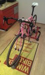 2012-05-04 12.01.07.jpg