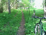 2012-05-27 14.31.45.jpg