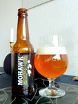 mohawkunfilteredlager.jpg
