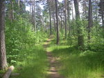 IMGP0015.JPG
