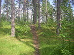 IMGP0017.JPG