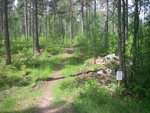 IMGP0018.JPG