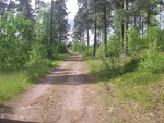 IMGP0030.JPG