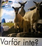 IMAG0990-1-1.jpg