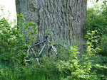 DSC02078.jpg