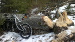 2012-02-28-002.jpg