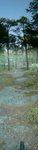DSC00222.JPG