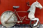 horse-473x309.jpg
