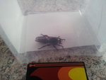 20120716_190059.jpg