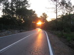 IMG_7182.JPG