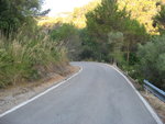IMG_7206.JPG
