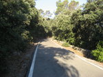 IMG_7211.JPG
