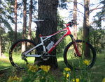 Cykel-2012-07-21.jpg