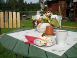 IMG_20120729_144541.jpg