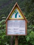 000_0293.JPG