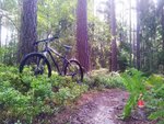 2012-08-04 10.38.26.jpg